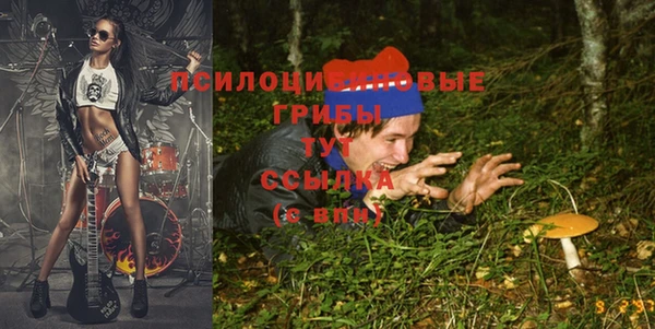 гашиш Белокуриха